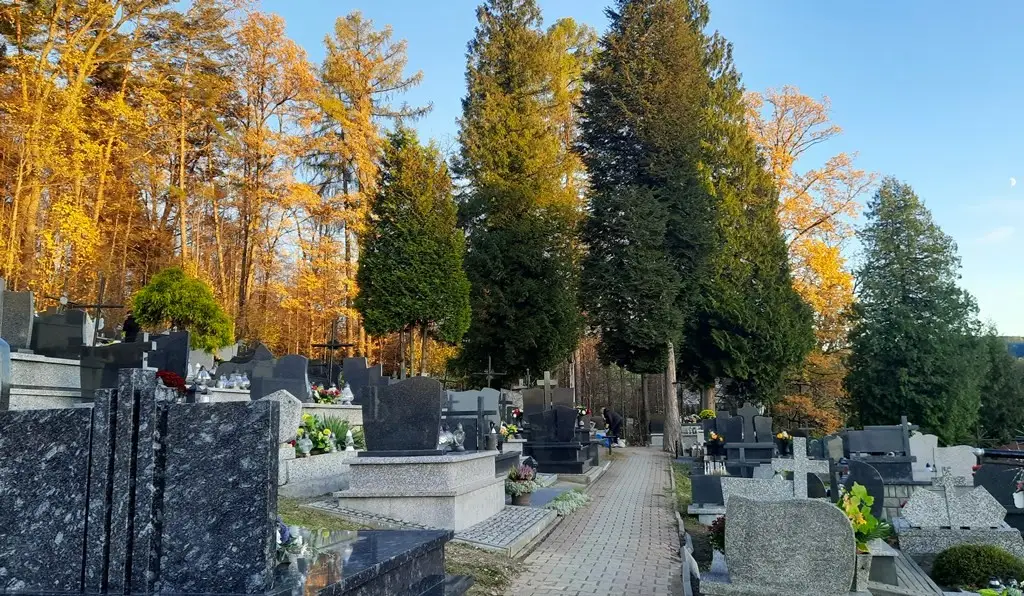 Czujność na cmentarzach: złaździejstwo i kieszonkowcy w okresie Wszystkich Świętych