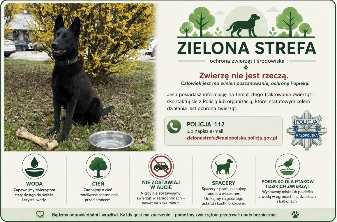 Jak dbać o zwierzęta w czasie upałów